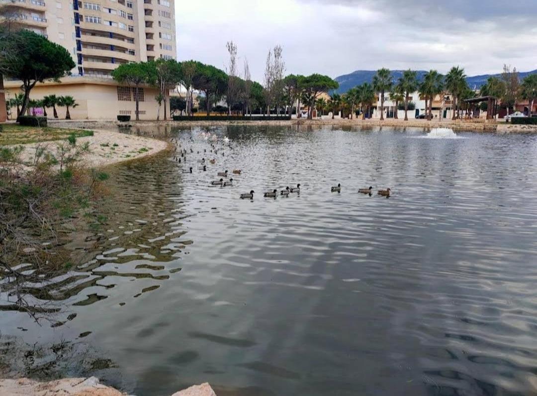 Apartamento Arena Y Mar Tavernes de la Valldigna Exterior foto