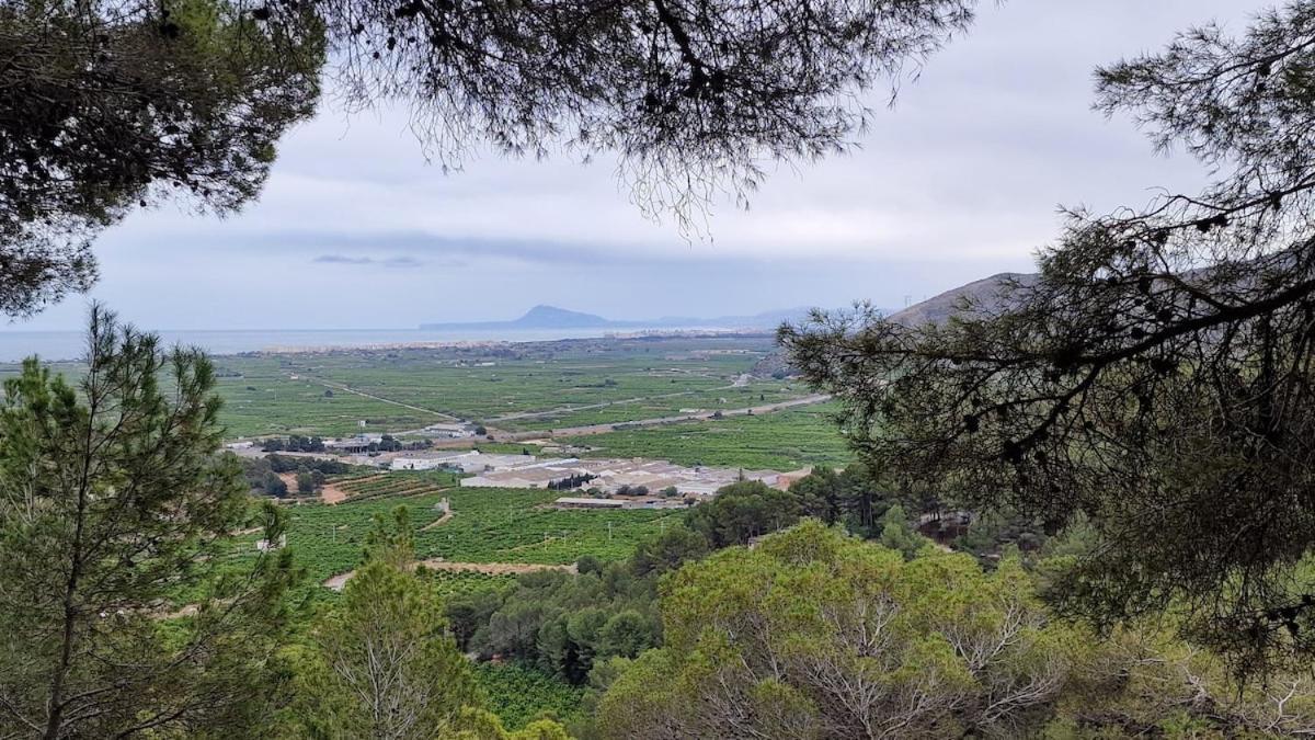 Apartamento Arena Y Mar Tavernes de la Valldigna Exterior foto